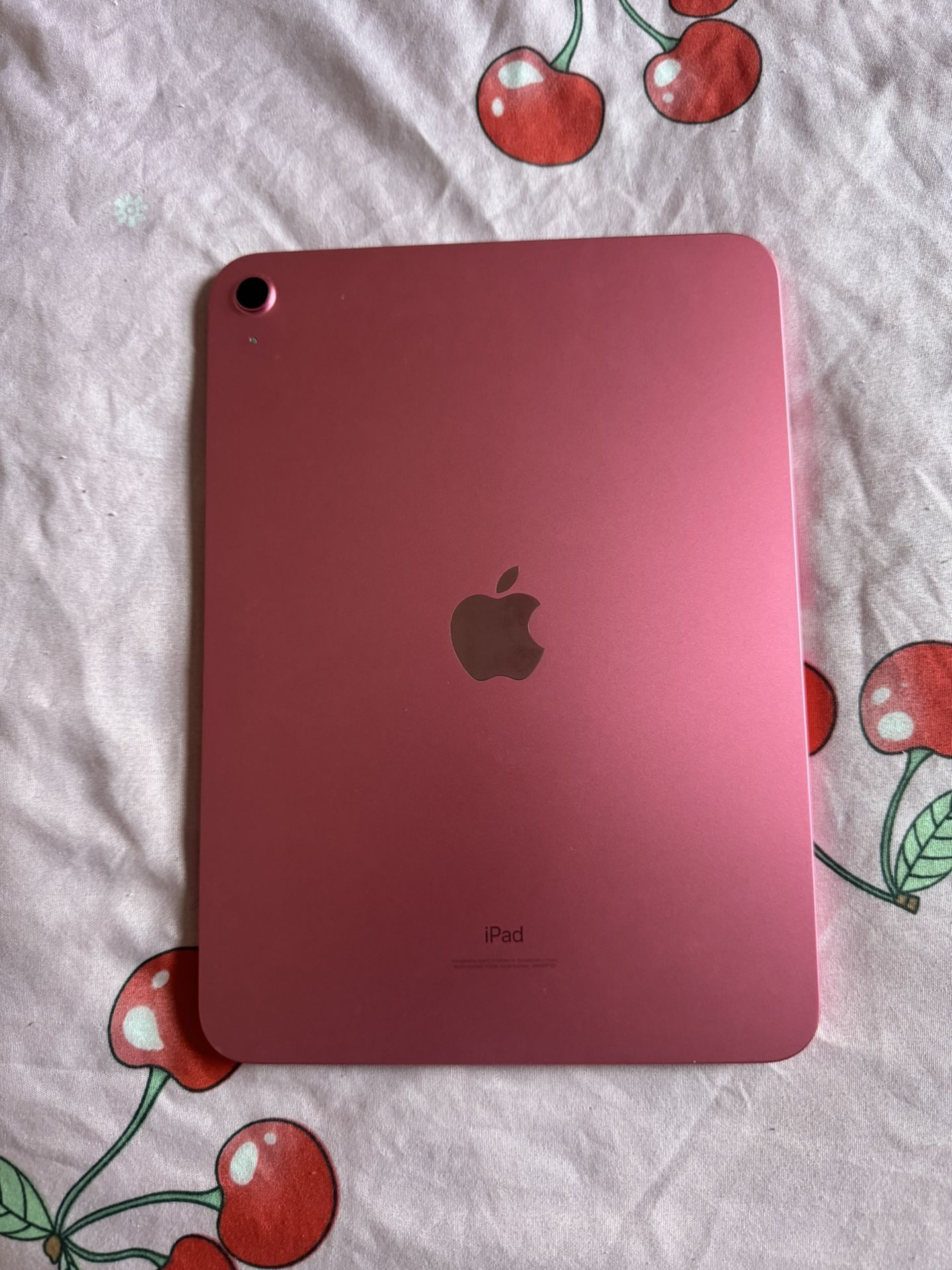 iPad 10 gen 256gb