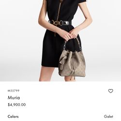 Louis Vuitton Bag 