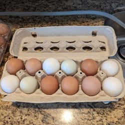 Farm Fresh Eggs