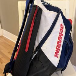 DeMarini Baseball Backpack 