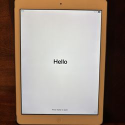 iPad Air 1st Generation