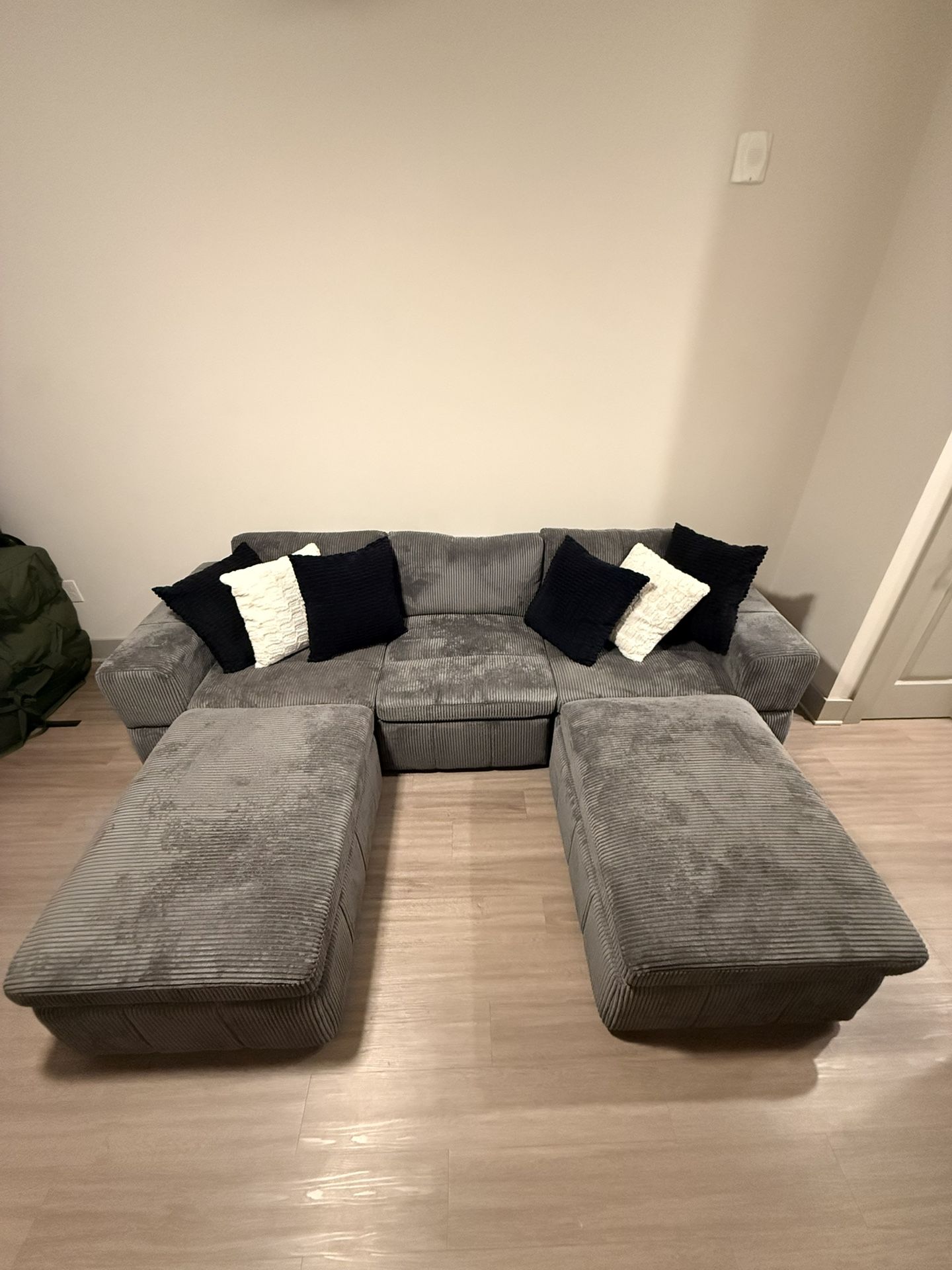 Double sectional couch