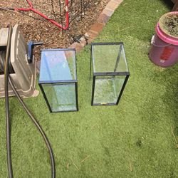 Two 10 Gallon Fish Tank
