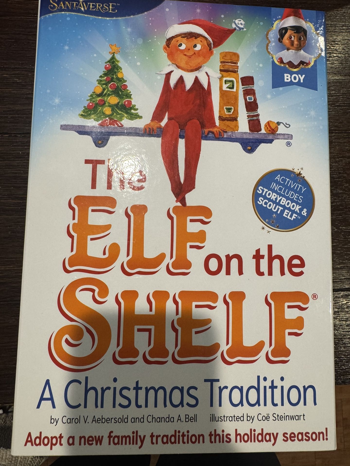 Boy Elf On The Shelf