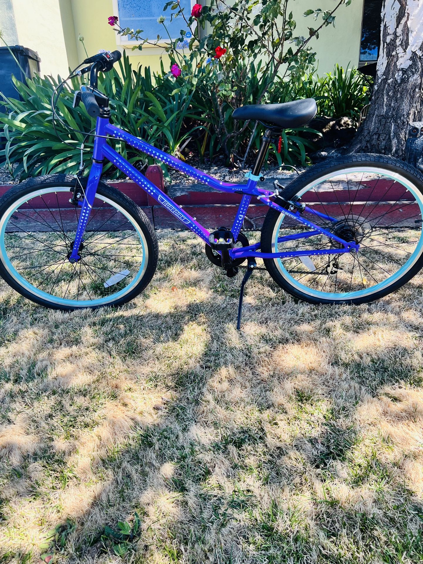 Guardian Ethos 24-inch kids' bike