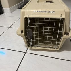Small cage in good condition and clean. It measures 21 inches long, 12 inches wide, and 12 inches high..