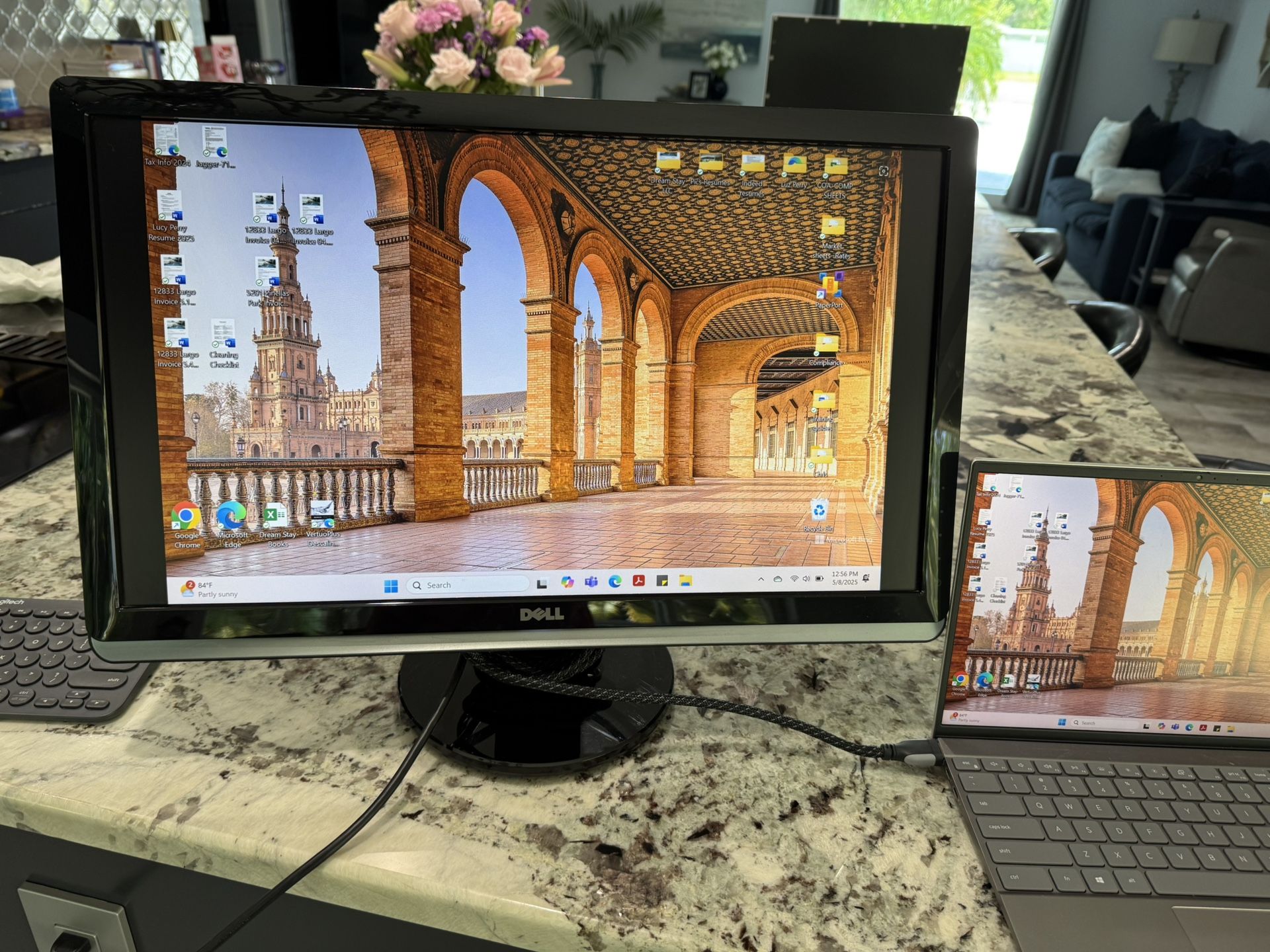 Dell 24 inch monitor