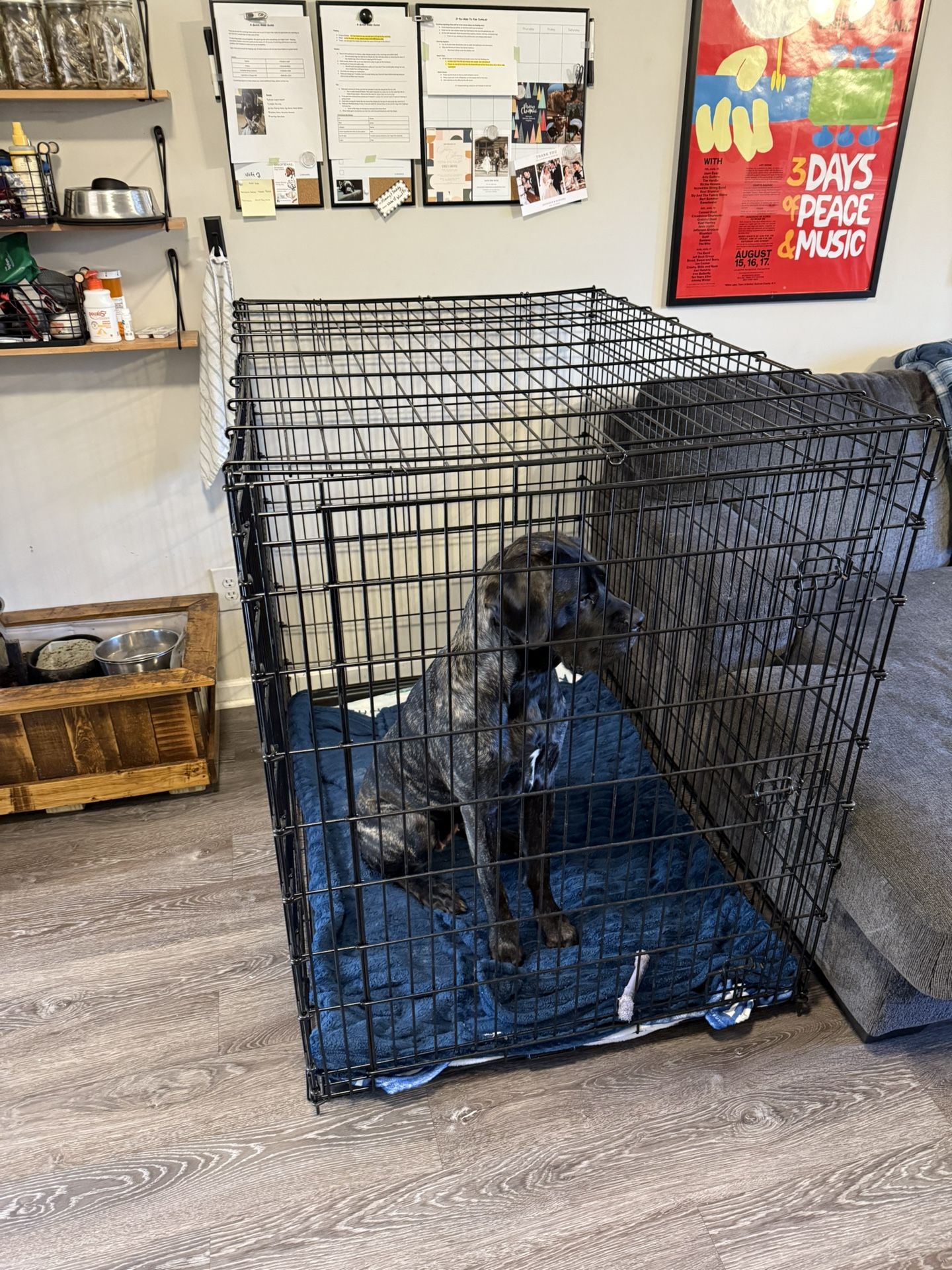 Dog Crate