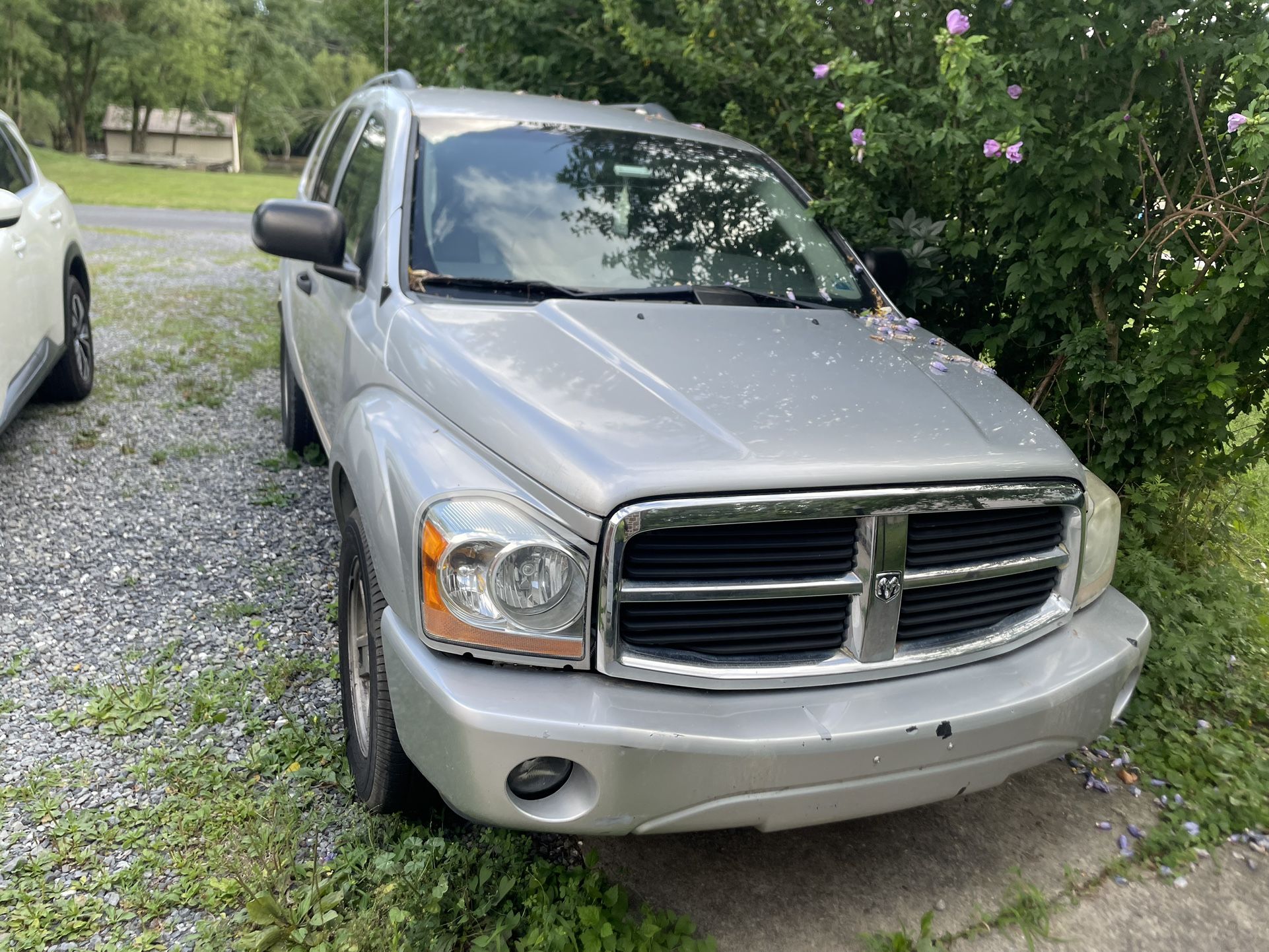 2007 Dodge Durango