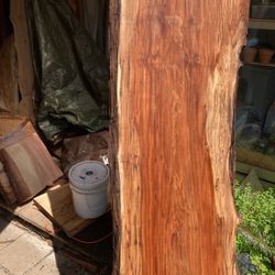 Sanders faulted maple bartops