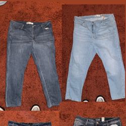 2 Women’s Levi’s Jeans