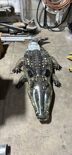 Alligator Floater