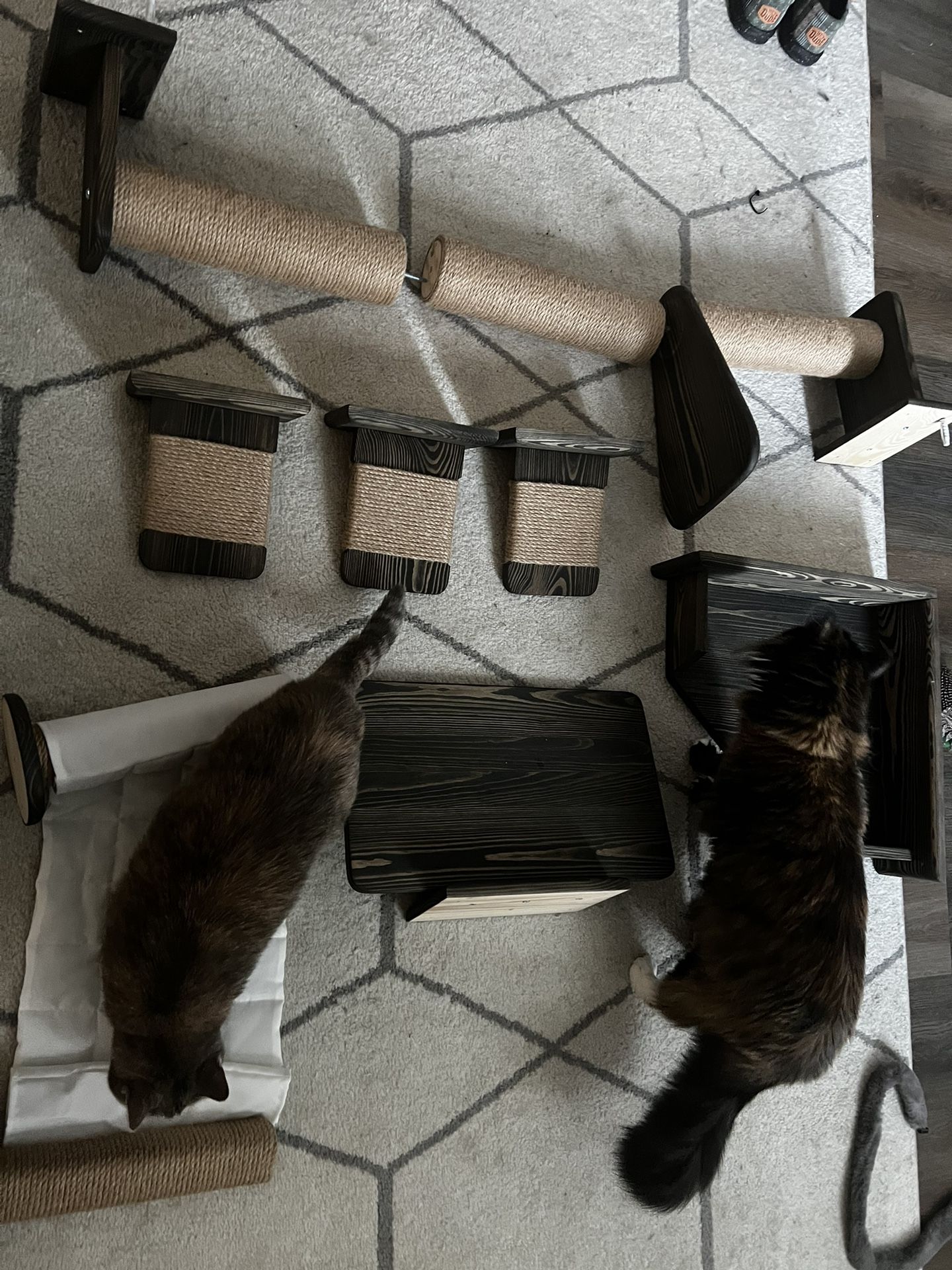 Cat Tree, Climbing Wall, Solid Stained Wood