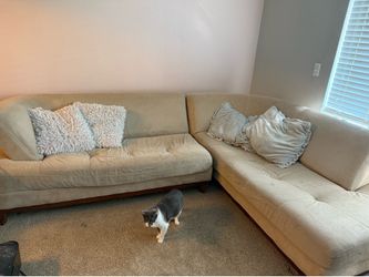 FREE COUCH