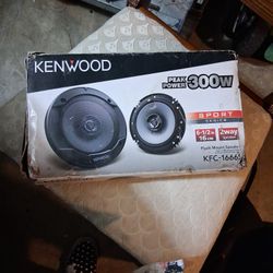 Kenwood Peak Power 300W
