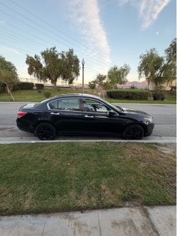 2010 Honda Accord
