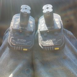 Rioby 18 V Lithium Batteries 