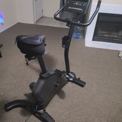 Schwinn 190 Upright Exercise Bike