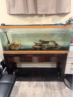 fish tank with dresser