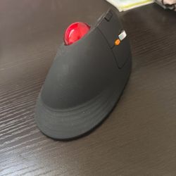 ProtoArc EM05 wireless ergonomic trackball mouse. 