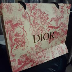 Dior Shopping Bag