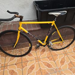 Fixed Gear