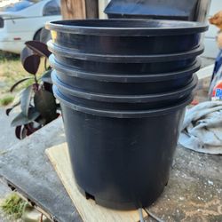 New  Pro Can3 Potting