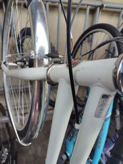 Wayfarer Schwinn 28