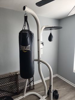 Punching bag / speed bag