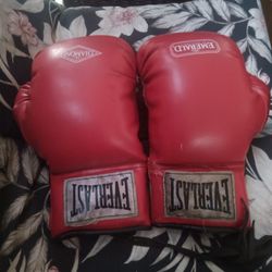 Used Everlast Boxing Gloves