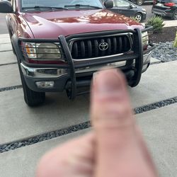 Brush Guard front bumper