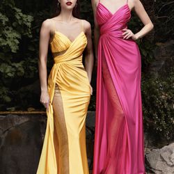 New With Tags Prom Dresses $215