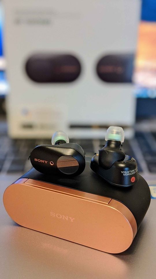 Sony Noise-Cancelling Earbuds (WF-1000XM3)