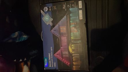 Govee 100ft lights