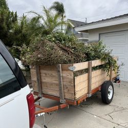 Yard Clean Up