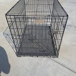 Petco Large Dog Crate