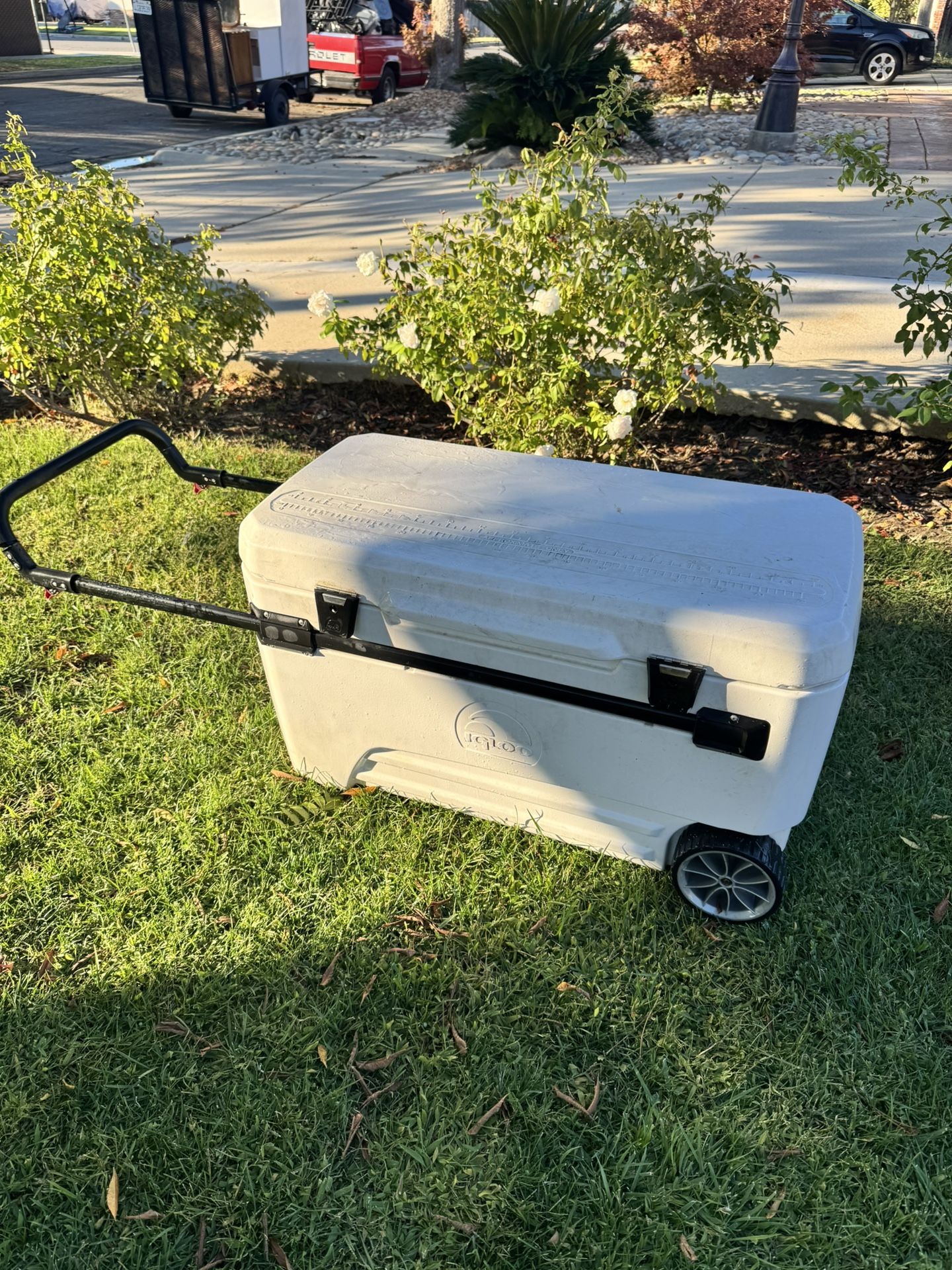 60$$ Really Nice Ice Chest