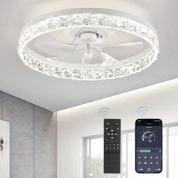 Ceiling fan with light