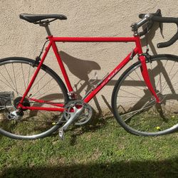 2010 Specialized Allez Steel Retro Throwback Chrome-Moly Steel Frame
