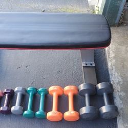 Weights And Weight Bench