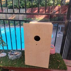 Large Bird/Parrot Nest Box