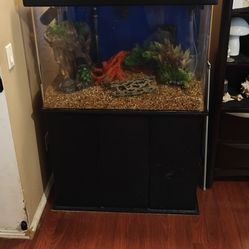 Aquarium with stand & canopy - Plus More!!