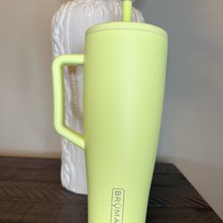 Brumate Era Prickly Pear