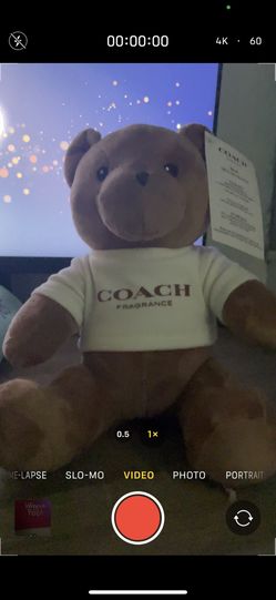 Coach Bear 