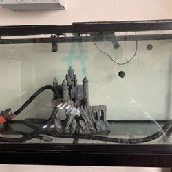 Fish Tank 