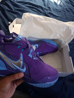 LeBron elites
