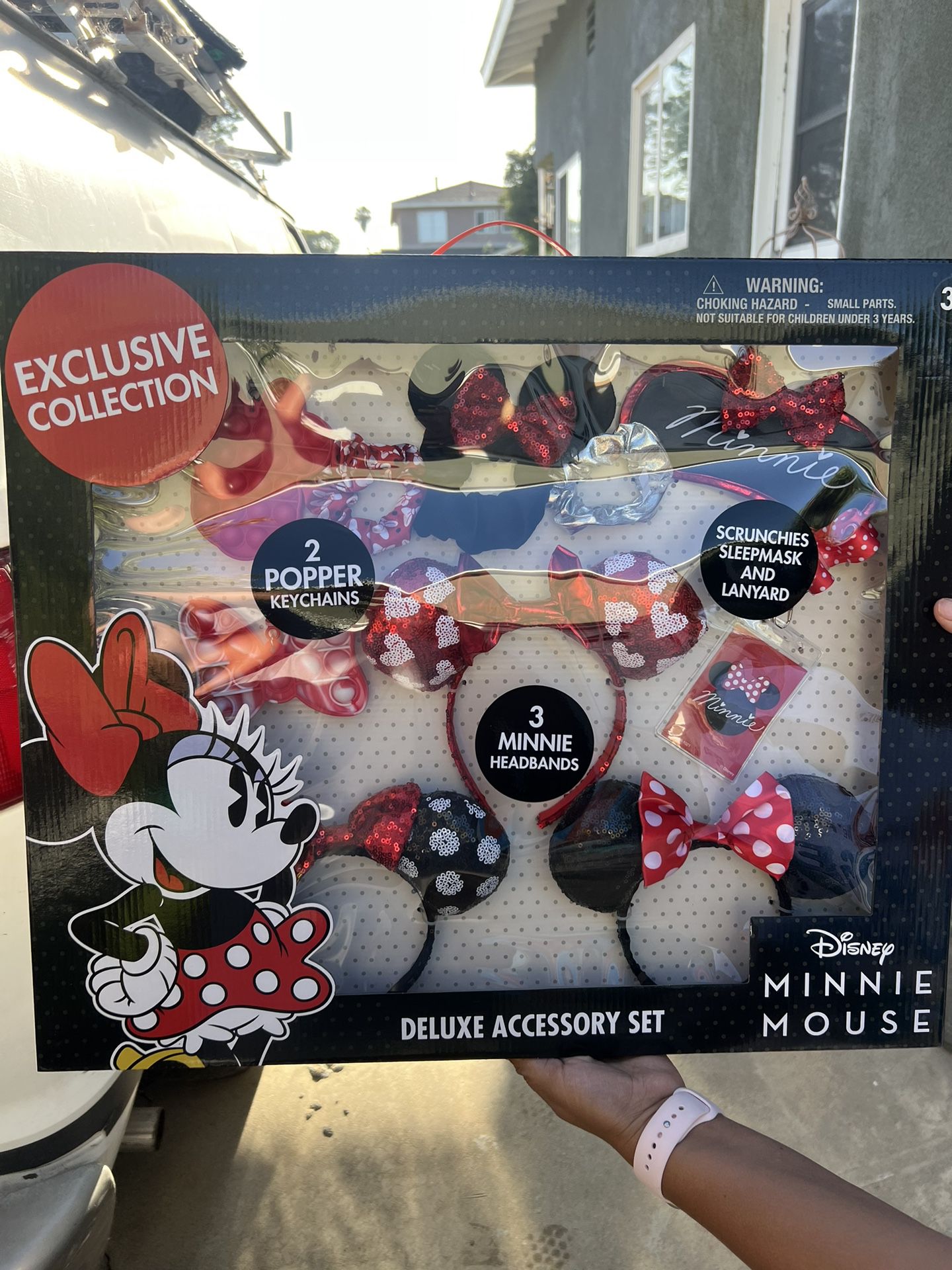 Disney Ears Bundle Box