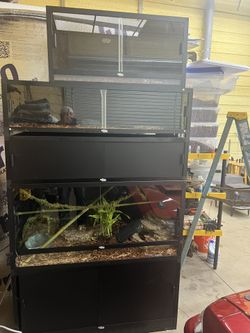 Reptile Enclosure