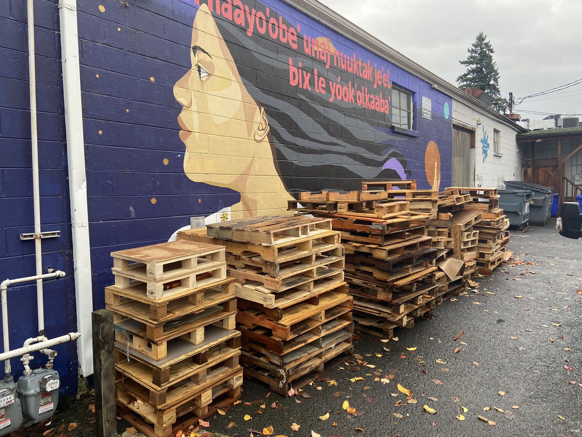 FREE Pallets And Assorted Wood