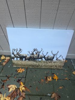 Art work x5